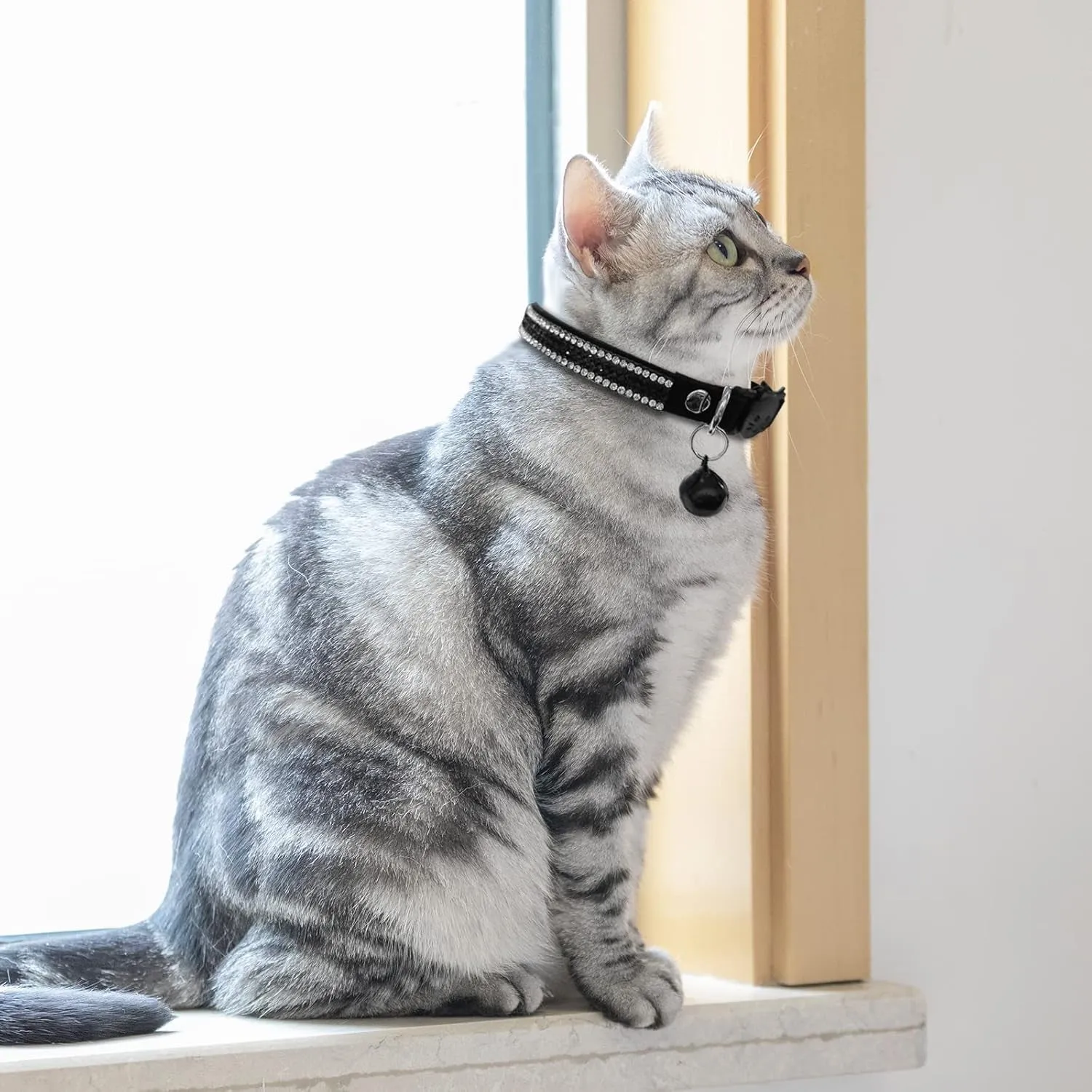 Adjustable Cat Bell Velvet Kitty Collar
