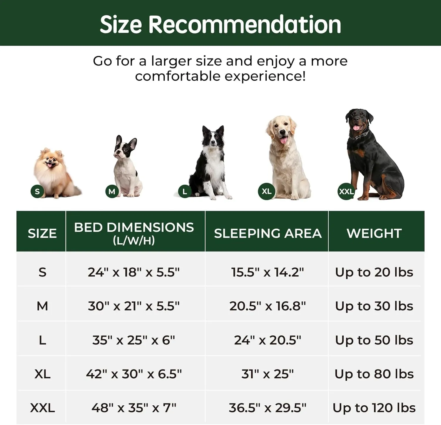 BALANCE Orthopedic Dog Bed, Egg Crate Foam Couch for Pet Sleeping, Pet Sofa with Removable Washable Cover & Waterproof Lining, Comfy Bed for Extra Large Dogs, Moonless Night