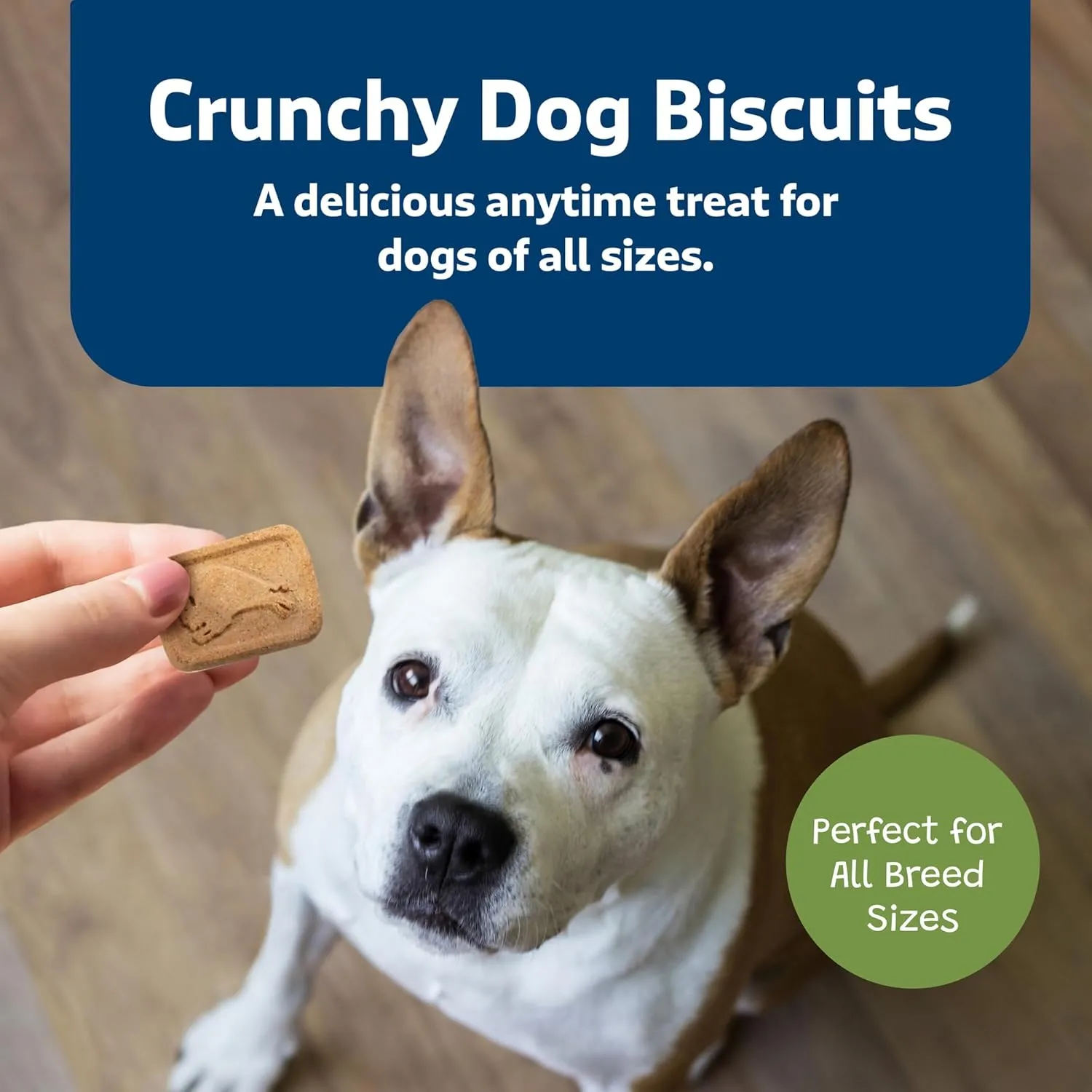 Blue Buffalo Health Bars Crunchy Dog Biscuits, Oven-Baked With Natural Ingredients, Apples & Yogurt, 16-oz Bag