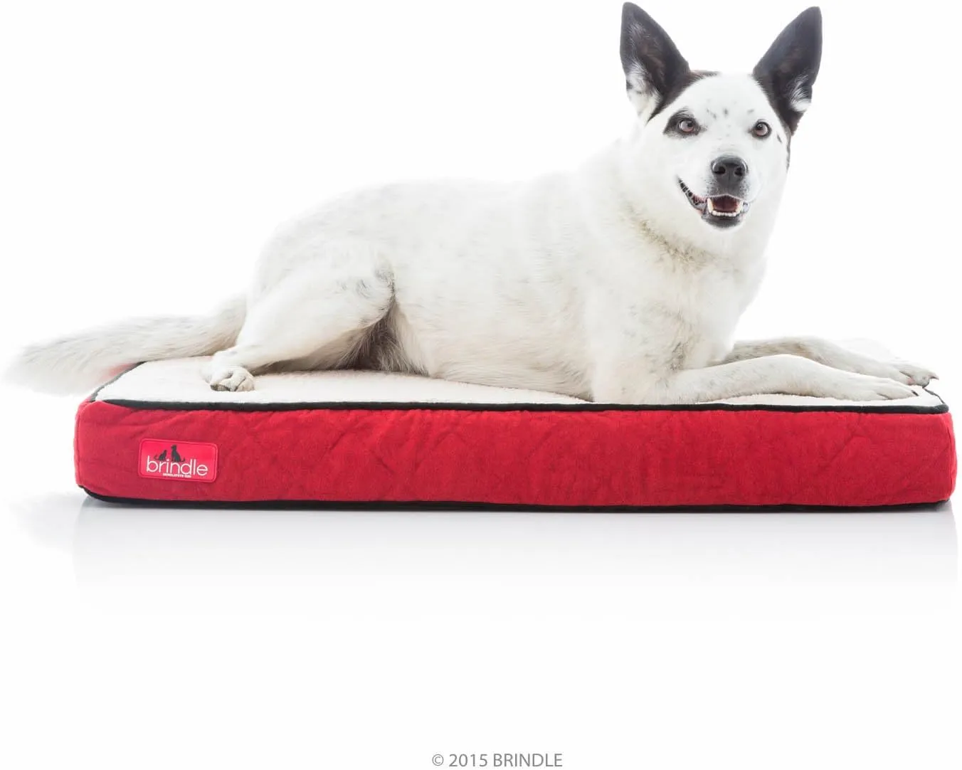 Brindle Waterproof Designer Memory Foam Pet Bed-Removable Machine Washable Cover-4 Inch Orthopedic Pet Bed-Joint Relief