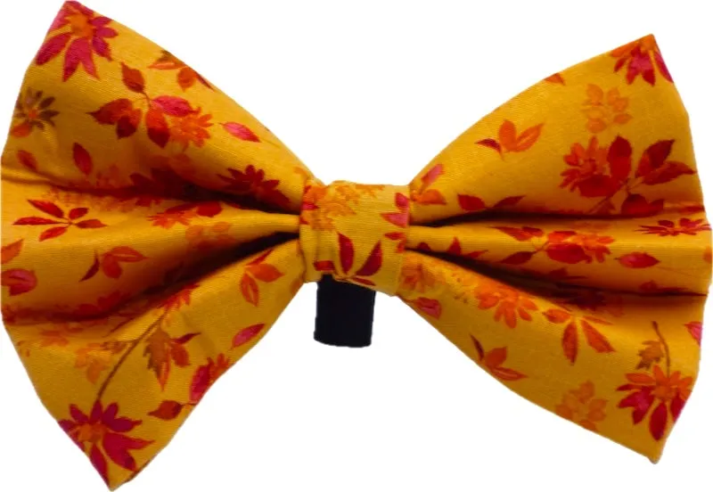 Cat & Kitten Collar Range "Autumn Leaves" by Mabel & Mu