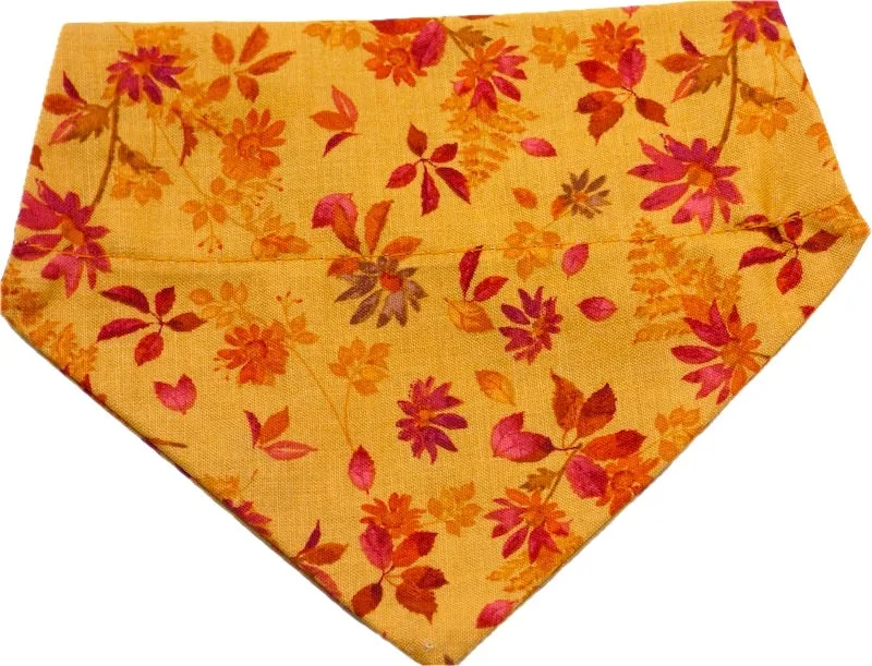 Cat & Kitten Collar Range "Autumn Leaves" by Mabel & Mu