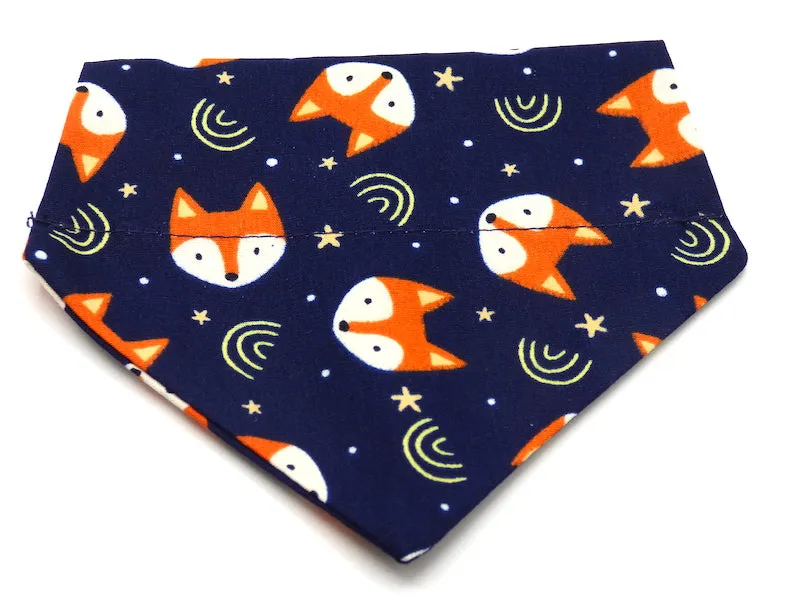 Cat & Kitten Range "Foxy" by Mabel & Mu