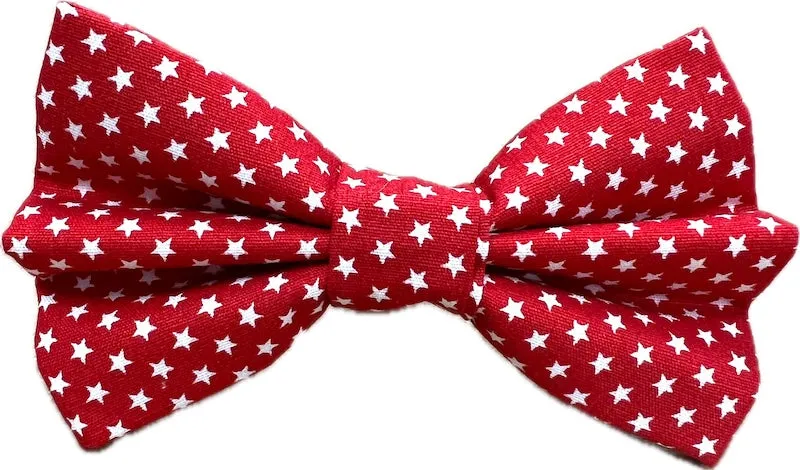 Cat & Kitten Range "Starstruck" by Mabel & Mu