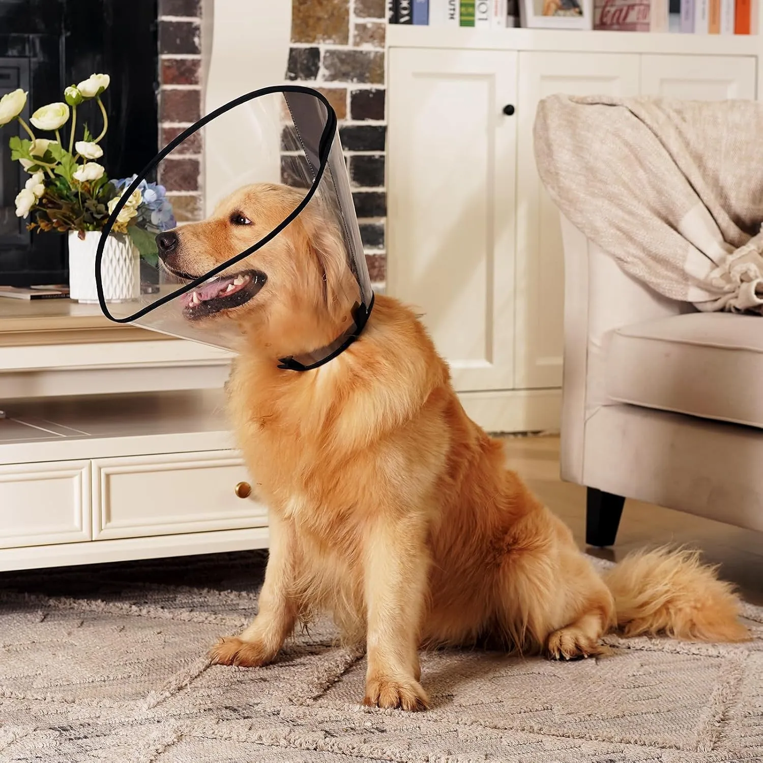 Dog Cone Collar, Transparent Recovery Cone for Large Medium Small Dogs, Soft Elizabethan Collar After Surgery to Prevent Licking Wound, Enhanced Visibility