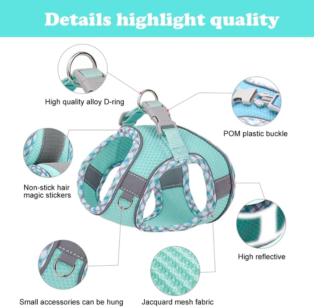 Dog Harness and Leash Set, No Pull Adjustable Reflective Pet Harness for Small Medium Dogs, Step in Vest Harness Easy Walk Dog Harness Outdoor Hiking Training for Small Dogs, Cats(Pink, XS)