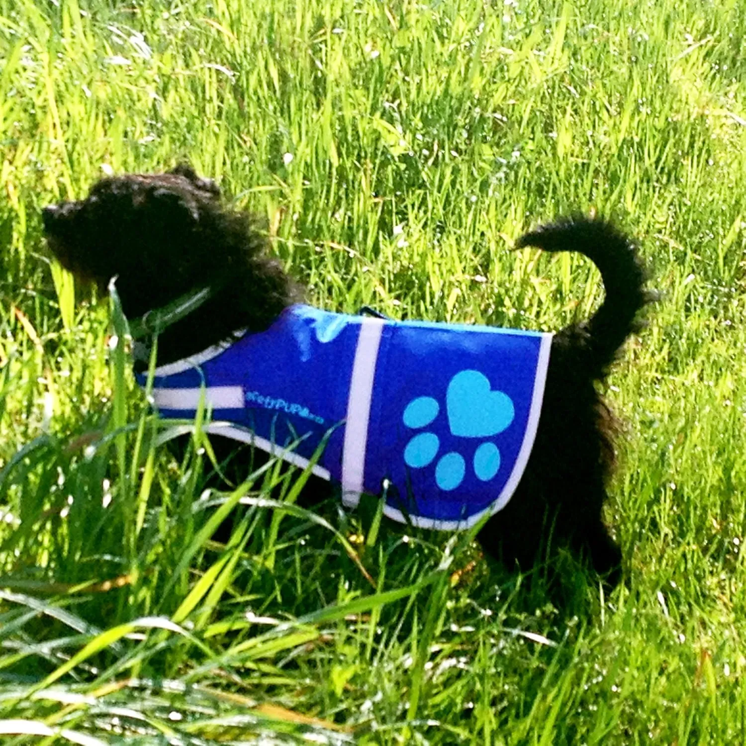 Dog Reflective Vest  Multiple Color Options with Hi-Vis Fluorescent Visibility Helping to Safeguard Your Pet On/Off Leash in Urban & Rural Areas.