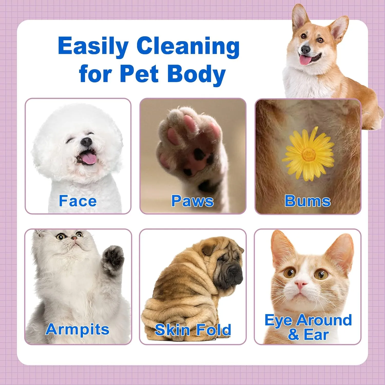 DR.EASY Lavender 200ct Scent Pet Wipes for Dogs and CatsEars, Face, Butt, Body and Eye Convenient, NatureHome or TravelBest Pet Supplies