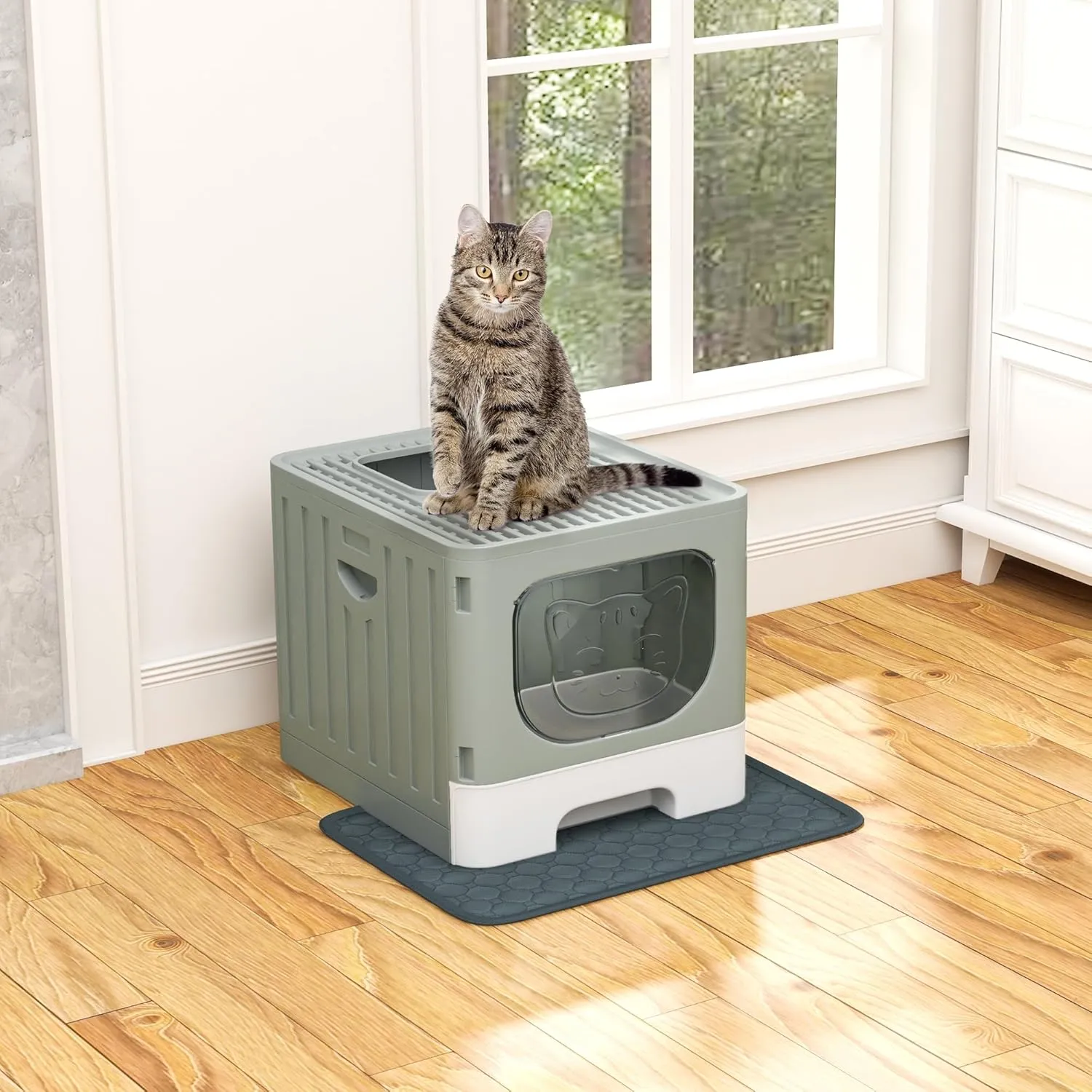 DWVO Enclosed Cat Litter Box with Two-Way Entry/Exit, Large Anti-Splash Hooded Litter Box with Mat and Litter Scoop, Easy Assemly and Cleaning - Gray