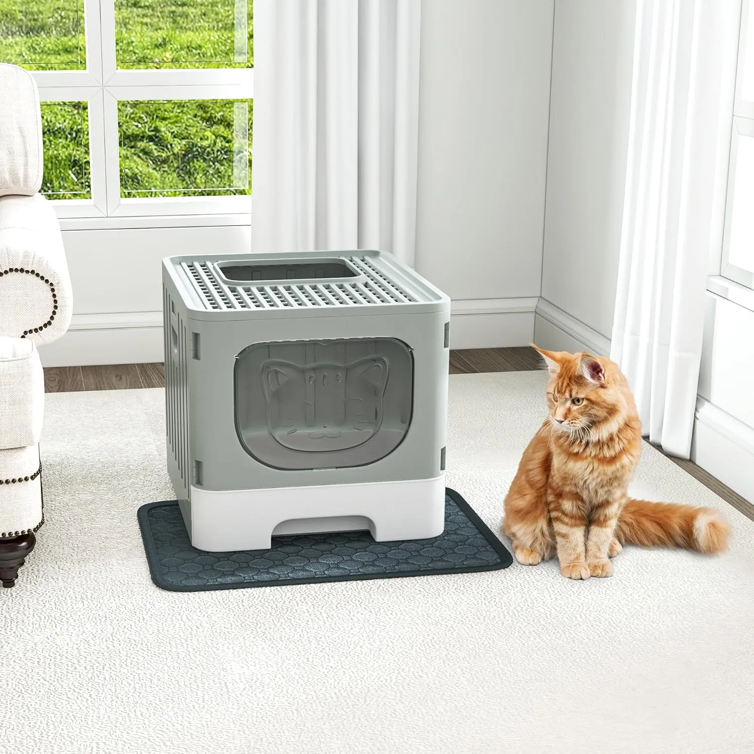 DWVO Enclosed Cat Litter Box with Two-Way Entry/Exit, Large Anti-Splash Hooded Litter Box with Mat and Litter Scoop, Easy Assemly and Cleaning - Gray
