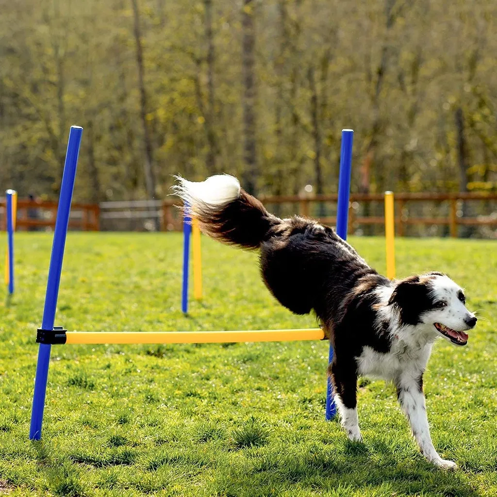 Floofi - Dog Agility Training Set