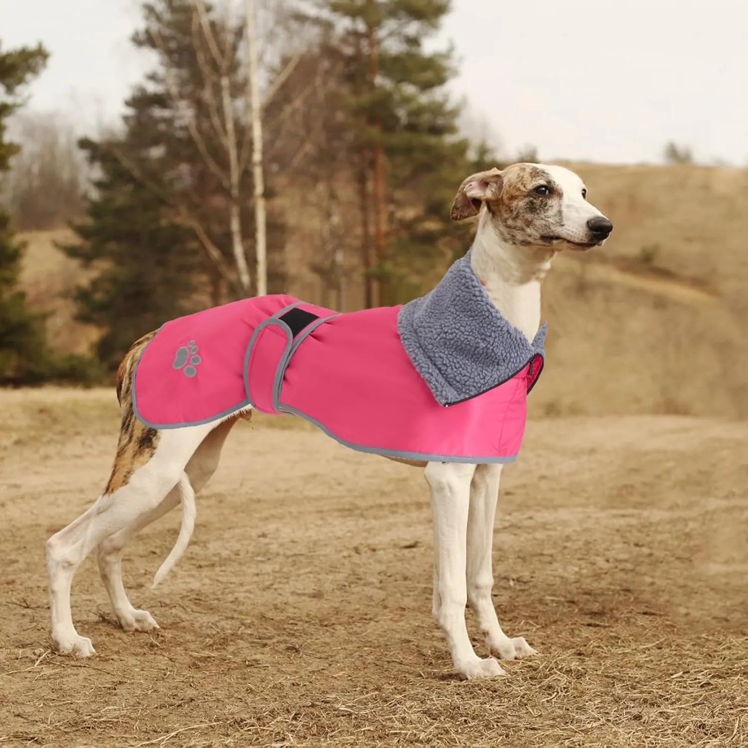 Geyecete Dog Winter Coat Geyecete Greyhound Raincoat Fabric with Lamb Velvet Inside Outdoor Dog Apparel with Adjustable Bands for Medium, Large Dog-Pink-S