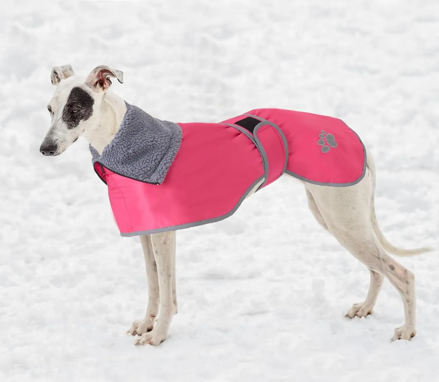 Geyecete Dog Winter Coat Geyecete Greyhound Raincoat Fabric with Lamb Velvet Inside Outdoor Dog Apparel with Adjustable Bands for Medium, Large Dog-Pink-S