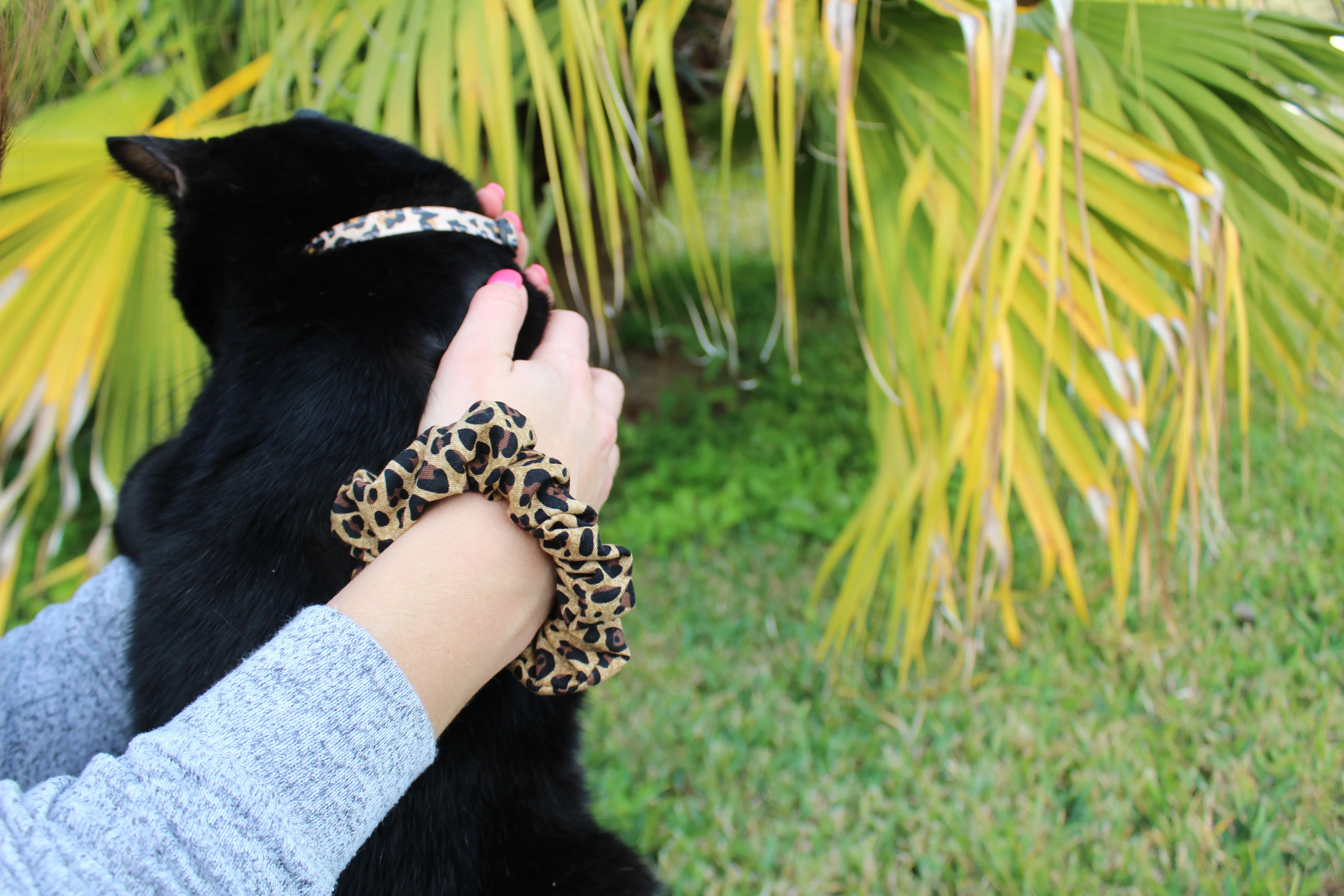 Jaguar Print Cat Collars