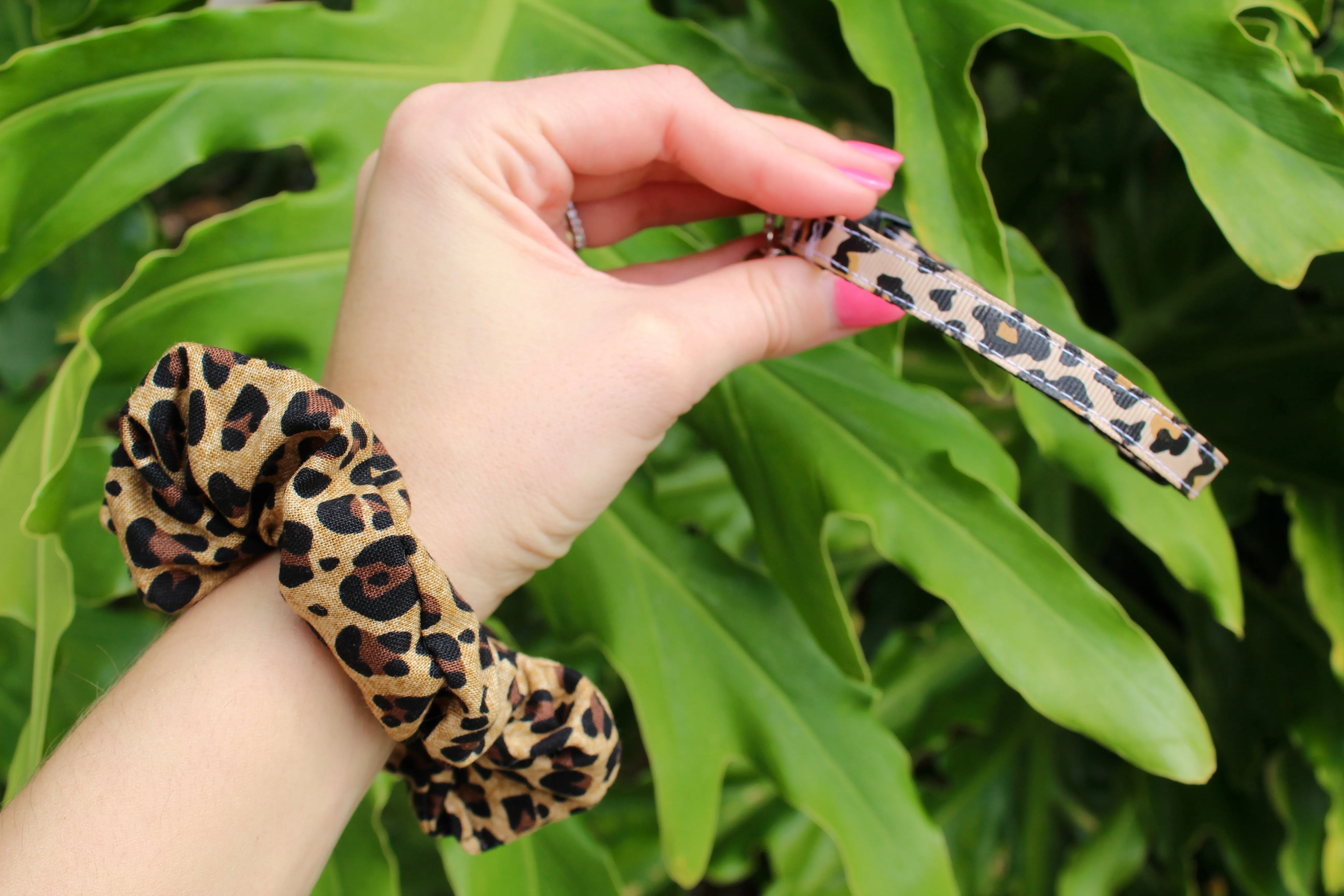 Jaguar Print Cat Collars