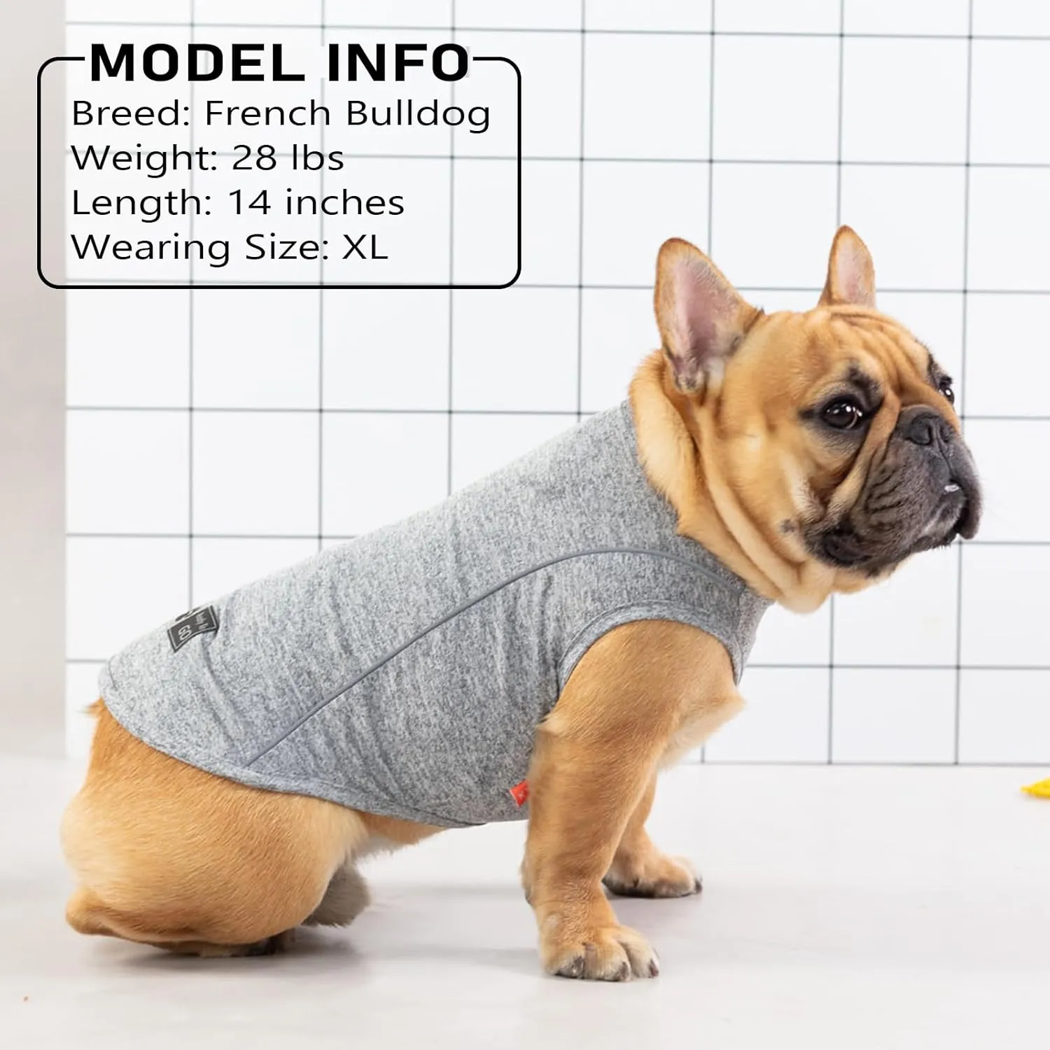 KYEESE 2Pack Dog Shirt for Small Dogs Sports Athletic Breathable Shirts with Reflective Stripe Athletic Tank Top Lightweight Dog Clothes,Grey Blue,L