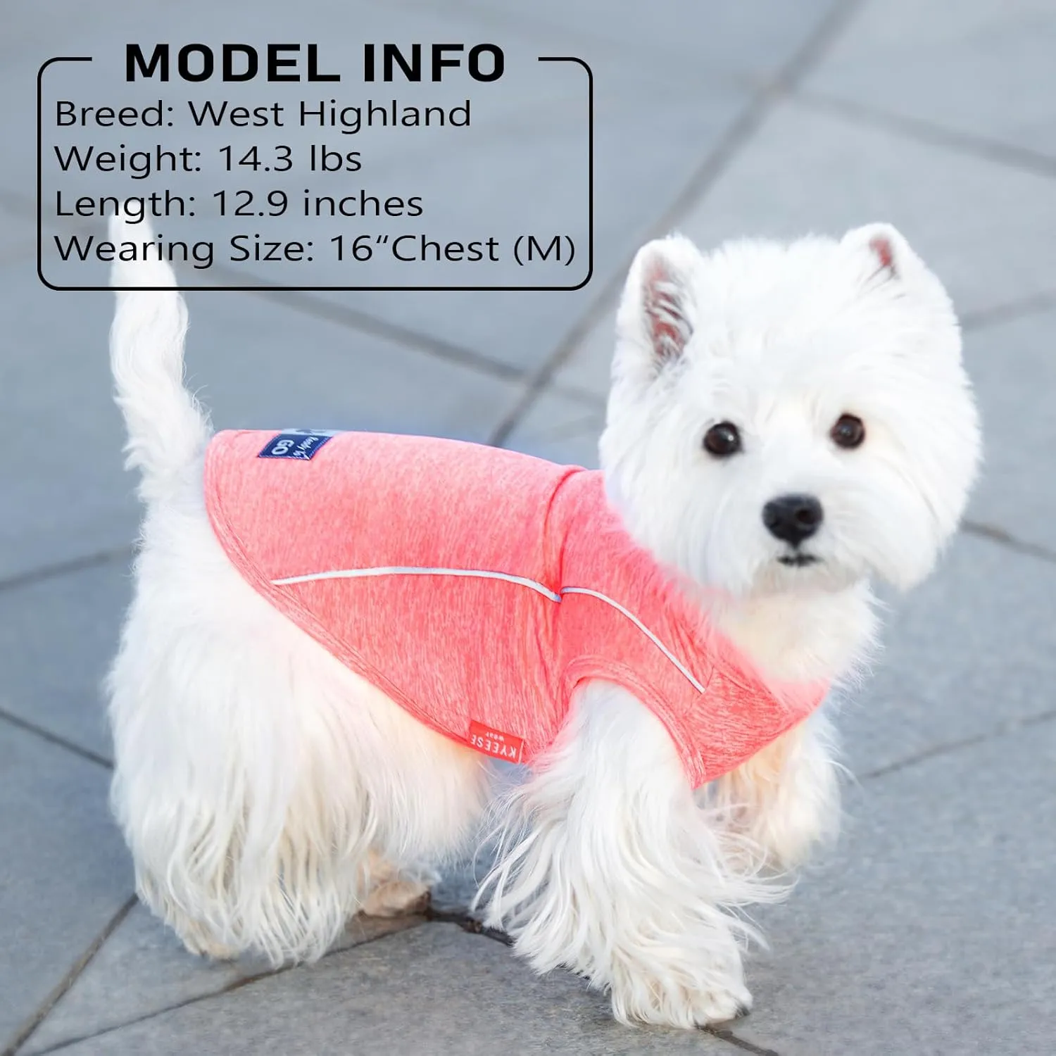 KYEESE 2Pack Dog Shirt for Small Dogs Sports Athletic Breathable Shirts with Reflective Stripe Athletic Tank Top Lightweight Dog Clothes,Grey Blue,L