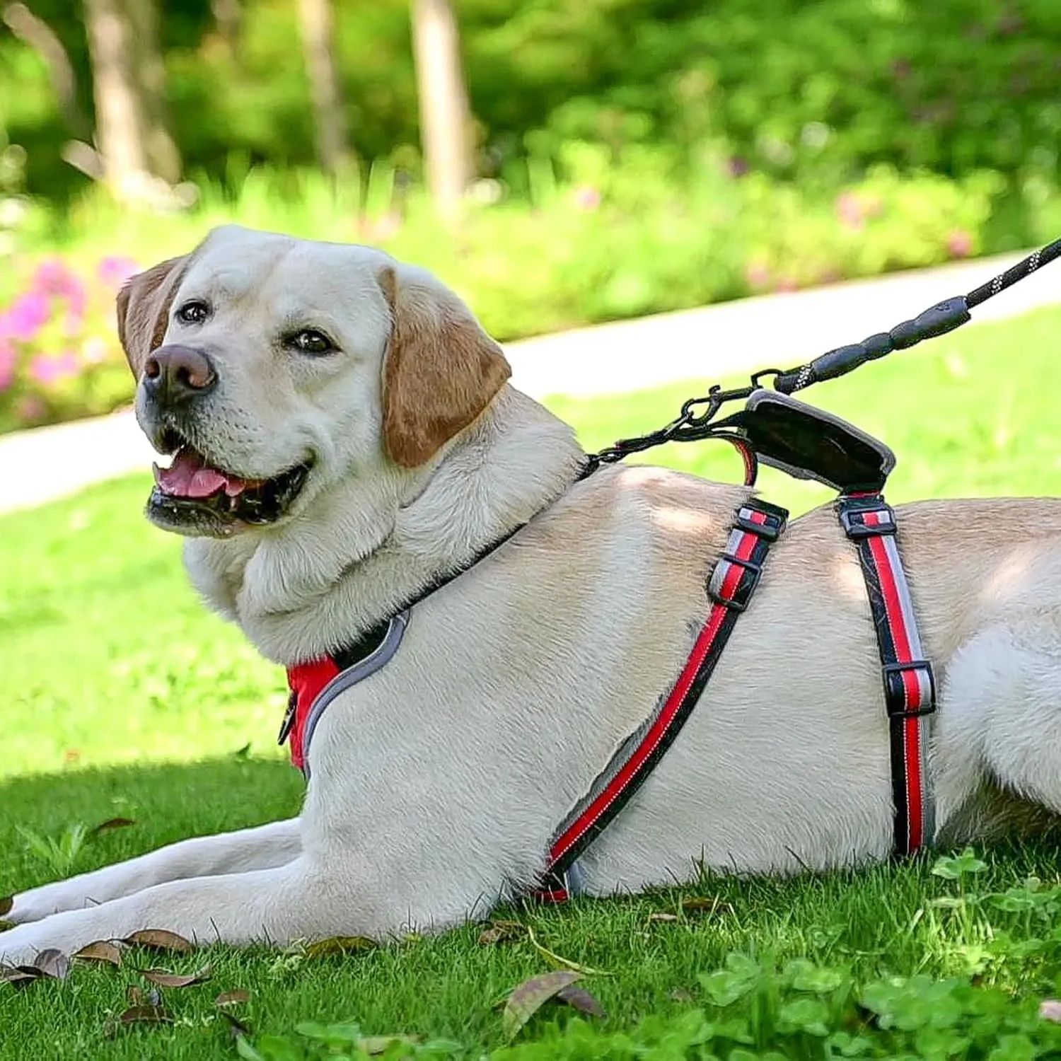 Mihachi Escape Proof Dog Harness - No Pull Dog Harness with Handle, Soft Padded Reflective and Adjustable Full Body Pet Harness Vest for Medium Large Dogs Walking Hiking Training, Red Large