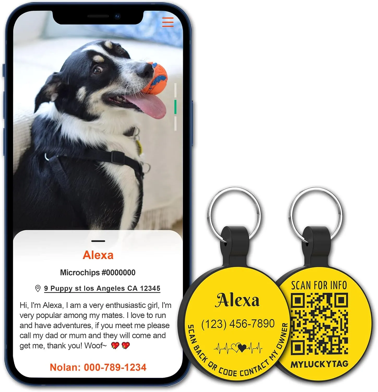 MYLUCKYTAG Personalized Dog ID Tags - Silent Silicone QR Code Tags - Online Pet Profile - Send Pet Location Alert Email When Scanned
