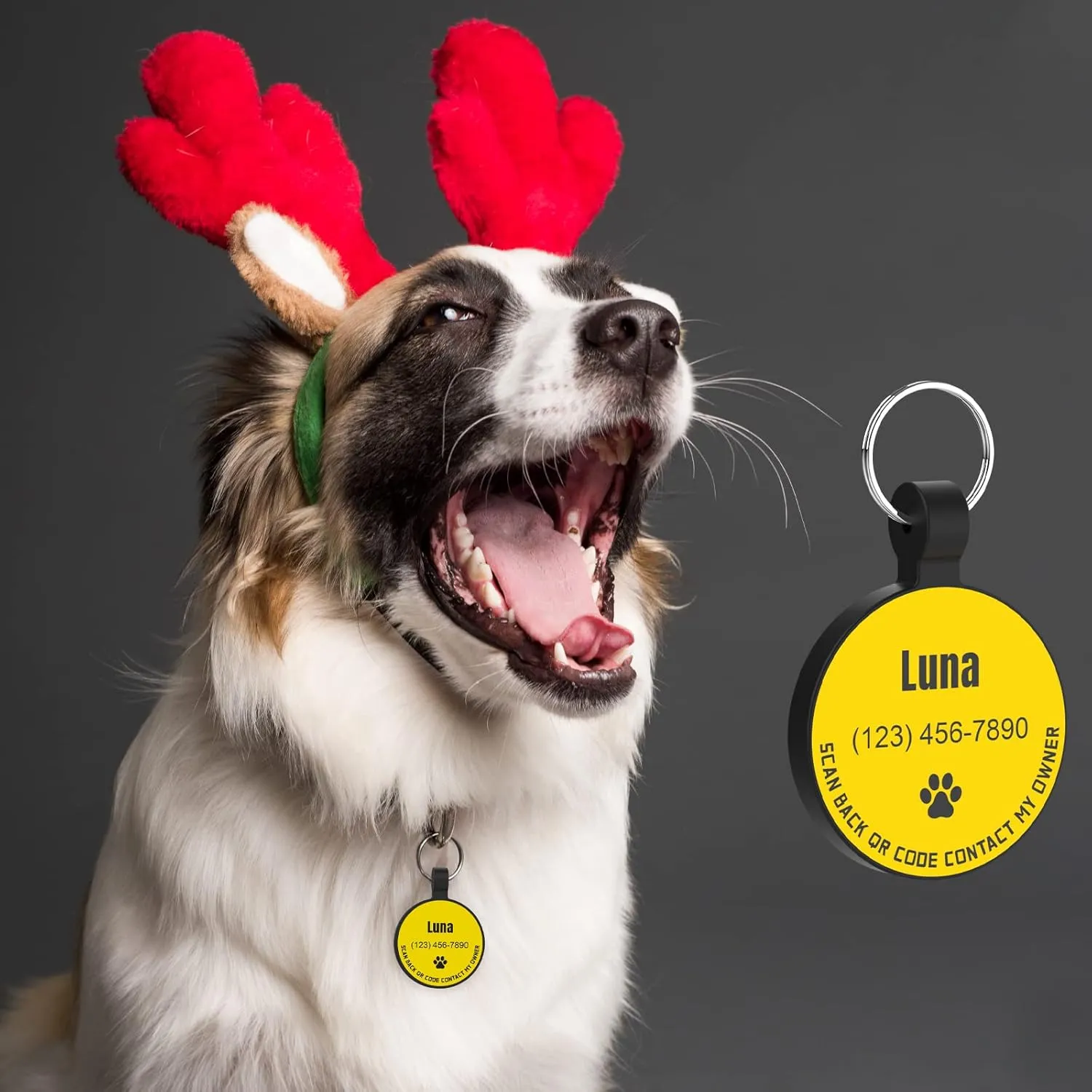 MYLUCKYTAG Personalized Dog ID Tags - Silent Silicone QR Code Tags - Online Pet Profile - Send Pet Location Alert Email When Scanned