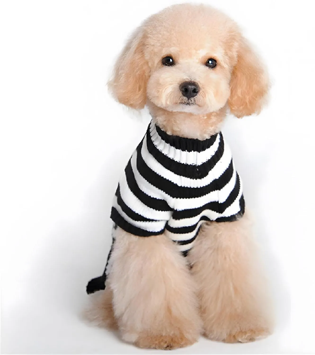 NACOCO Pet Sweaters Skeleton Sweater The Cat Dog Clothes Pet Clothing Little Puppy Dog Sweaters (X-Small)