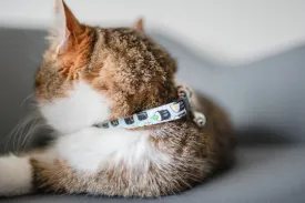 Personalized Cat Collar | Sushi Cat Collar | Duke & Fox®