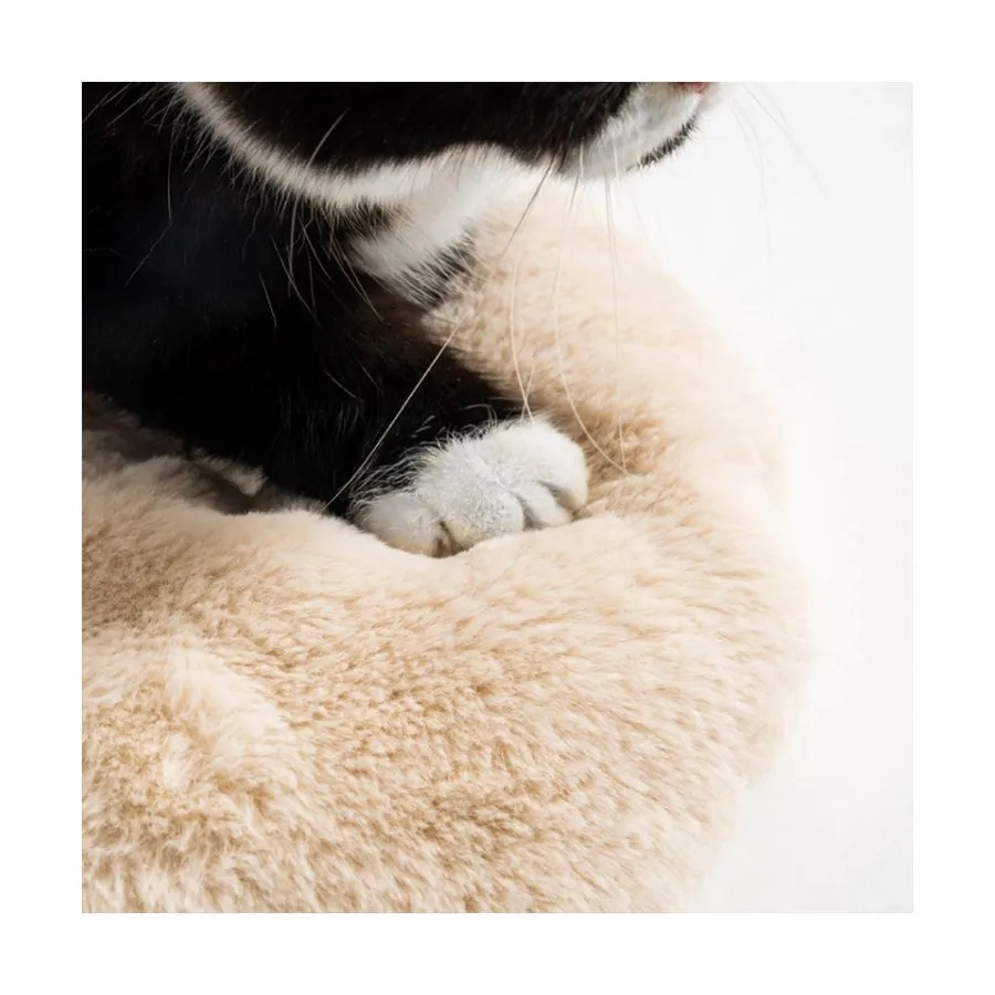 Pidan Pet Bed Papa Bear