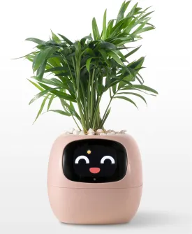 Plantagotchi AI Plant Pot with Expression - Smart Planter Robot Guidance on Plant Companion with Rich Gesture Interaction, Desk Setup Gift (Pink)
