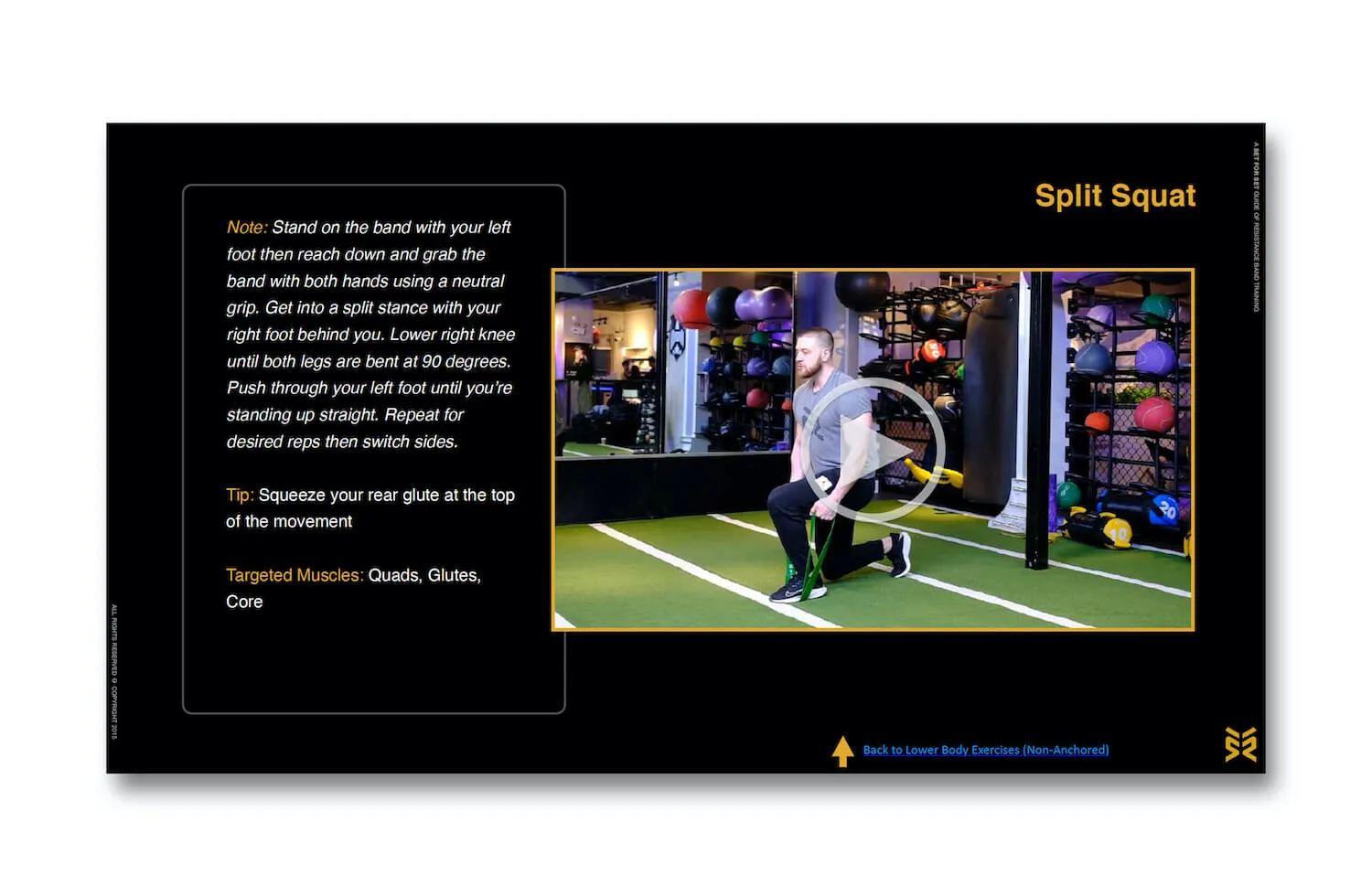 Resistance Band Training Guide (Digital Download)