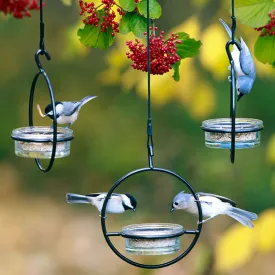 Sphere Glass Dish Feeders. Set of 3